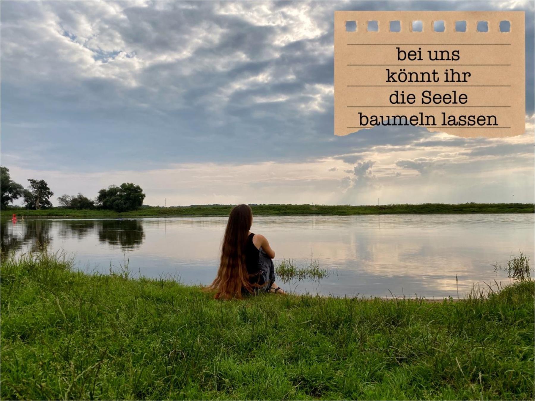 Alte Schule Wittenberg, 3 Ferienwohnungen Fuer Bis Zu 12 Personen, An Der Elbe, Mit Garten Exteriér fotografie