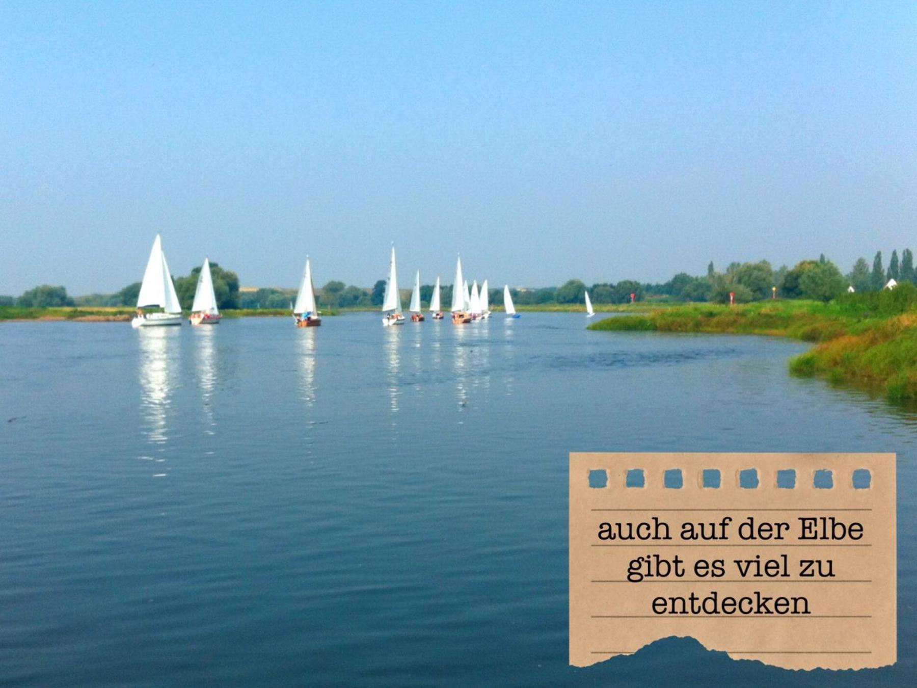 Alte Schule Wittenberg, 3 Ferienwohnungen Fuer Bis Zu 12 Personen, An Der Elbe, Mit Garten Exteriér fotografie